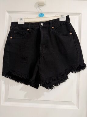 NWOT Wild Fable Black Frayed Highest Rise Shorts